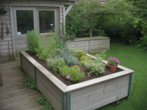Bassin jardin hors sol : comment le créer et l’entretenir efficacement